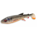 3D  WHITEFISH  SHAD